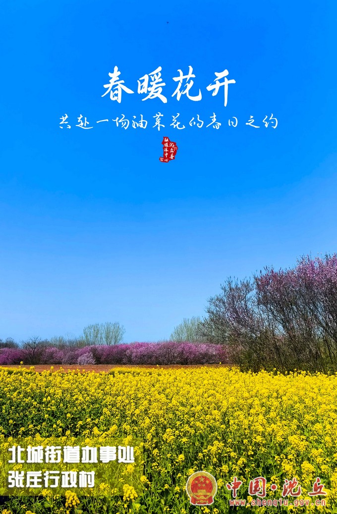 【沈丘海报】春暖花开.jpg