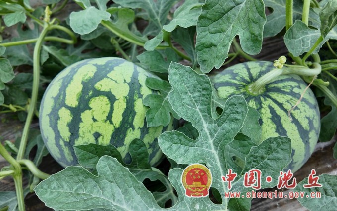 微信图片_20260429151548_100_460.jpg