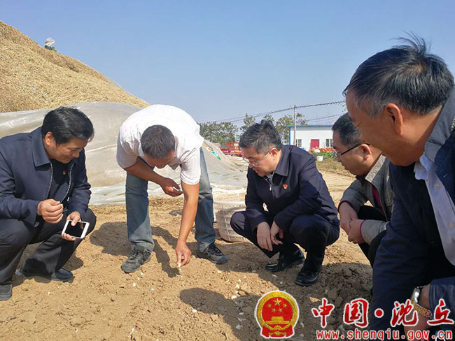 临泉宋集乡有多少人口_临泉多少乡镇(2)
