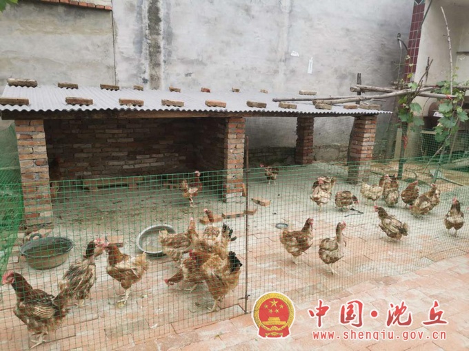 图片2.jpg