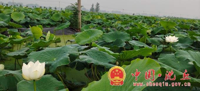 微信图片_20200721082651.jpg