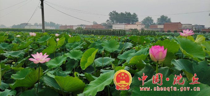 微信图片_20200721082642.jpg