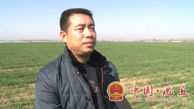沈丘：县农技专家为小麦春季管理把脉问诊.mp4_20210301_165904.487.jpg