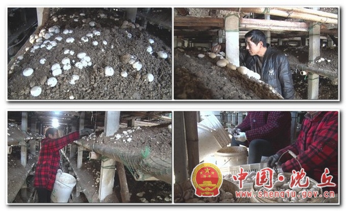 微信图片_20210402162438.jpg