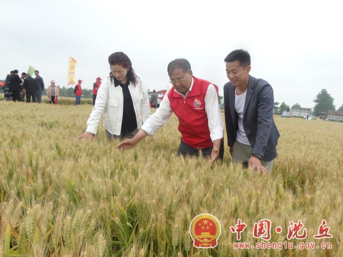微信图片_202105271704221.jpg
