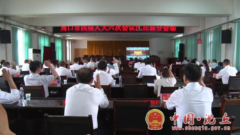 【2021-6-14】市四届人大六次会议胜利闭幕 我县55名市人大代表在分会场参加闭幕式 (3).jpg