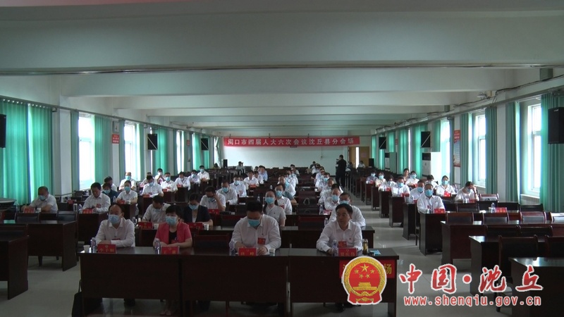 【2021-6-14】市四届人大六次会议胜利闭幕 我县55名市人大代表在分会场参加闭幕式 (2).jpg