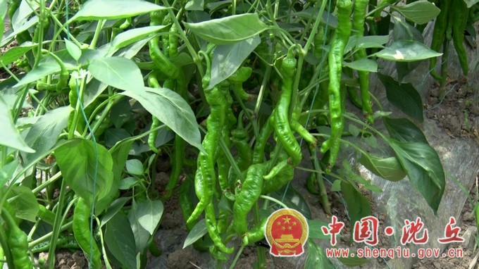 微信图片_20210701162439.jpg
