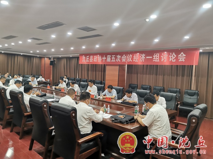 【2021-7-16】县委副书记、代县长余长坤等县领导参加政协会议分组讨论 (5).jpg