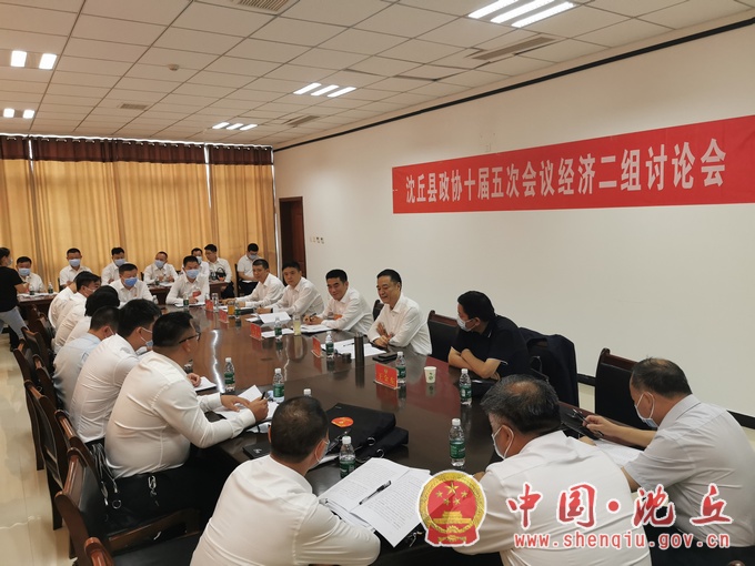 【2021-7-16】县委副书记、代县长余长坤等县领导参加政协会议分组讨论 (7).jpg