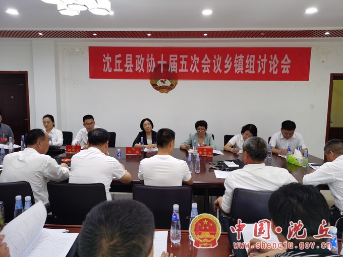 【2021-7-16】县委副书记、代县长余长坤等县领导参加政协会议分组讨论 (2).jpg