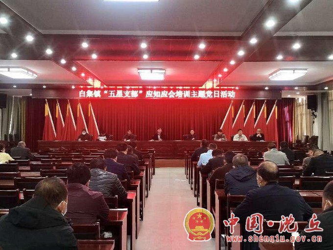 白集镇：开展主题党日活动，赋能“五星”支部创建.jpg