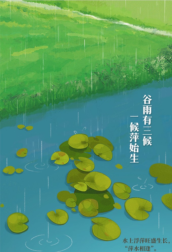 谷雨2.jpg