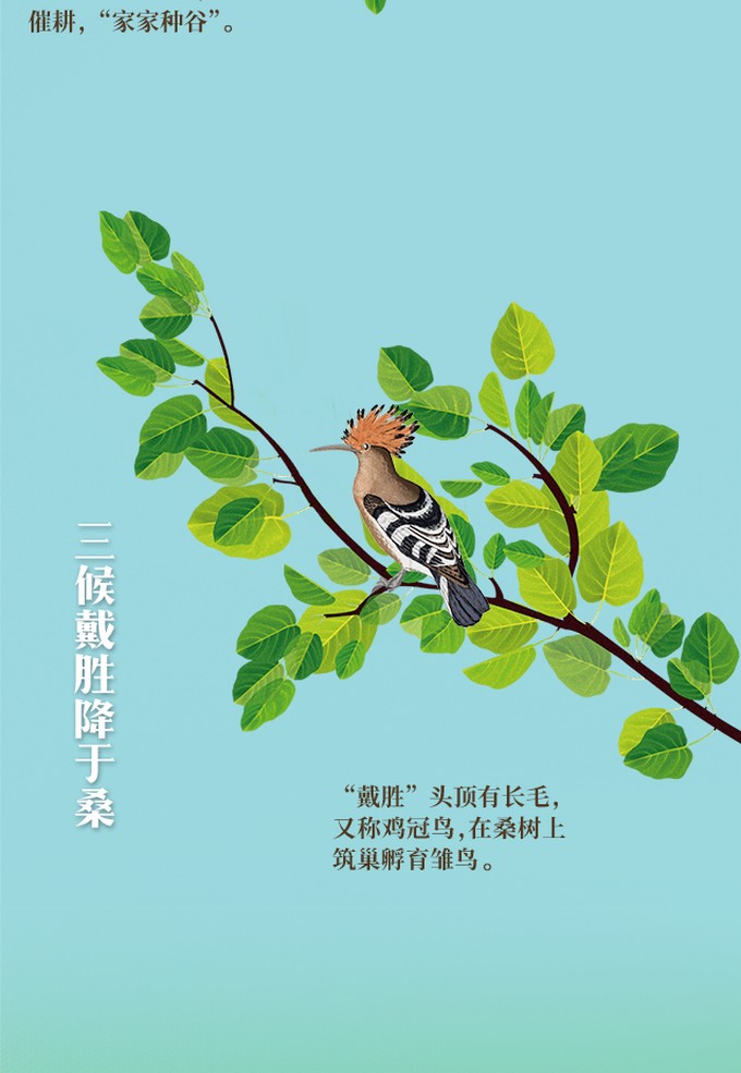 谷雨4.jpg