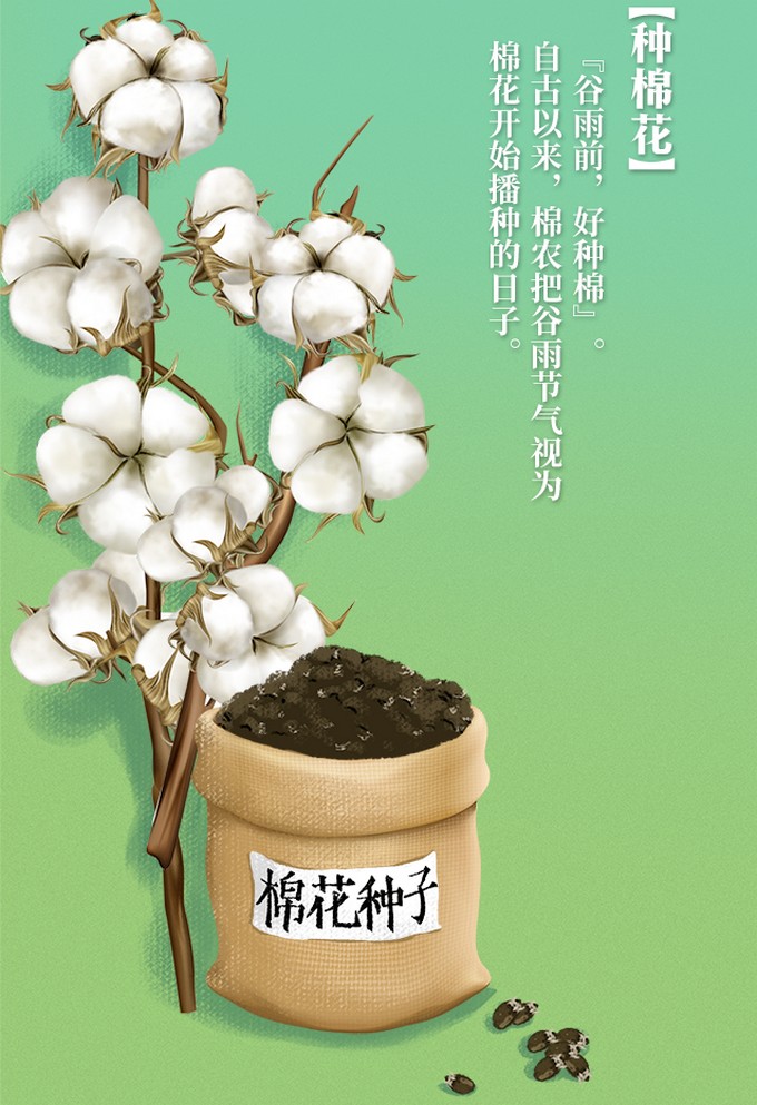 谷雨5.jpg
