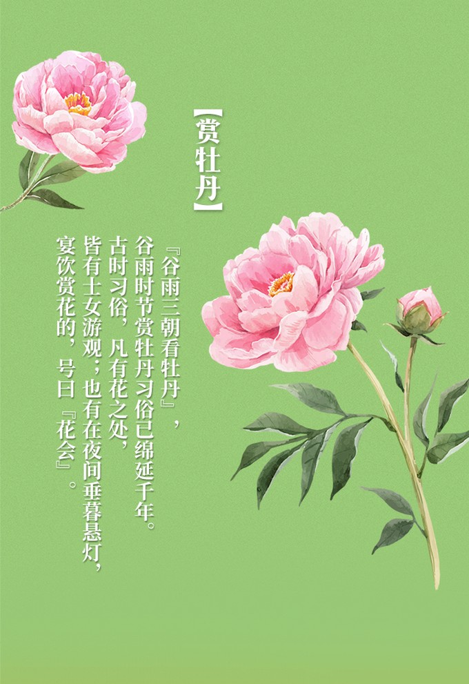 谷雨6.jpg