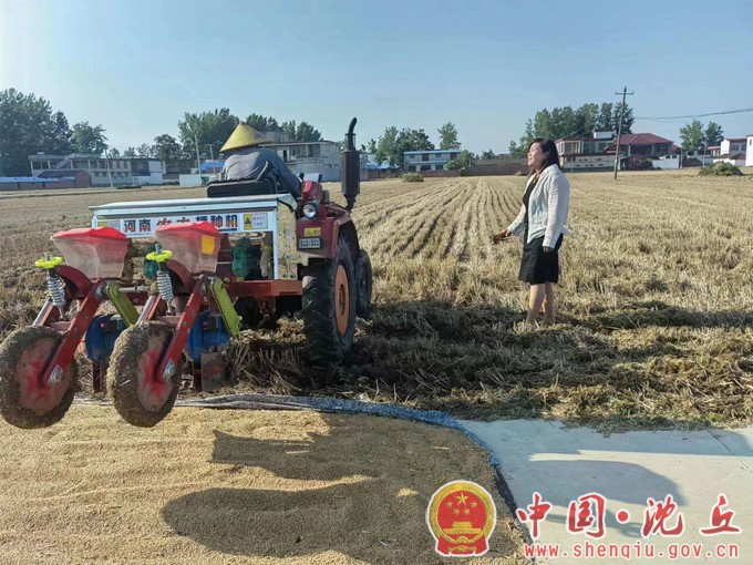 刘庄店牛王庙村：女支书风雨无阻战“三夏”（1）.jpg