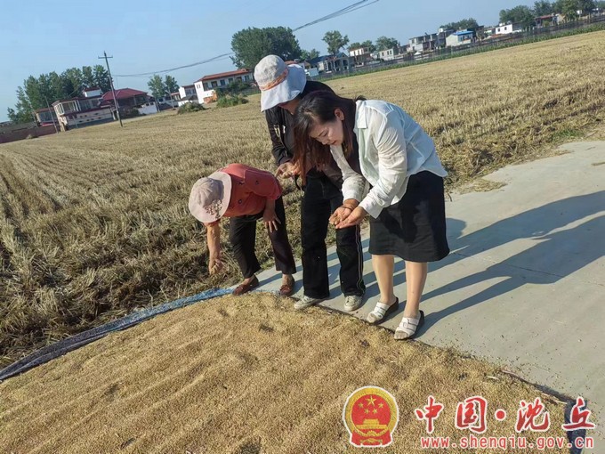 刘庄店牛王庙村：女支书风雨无阻战“三夏”（2）.jpg
