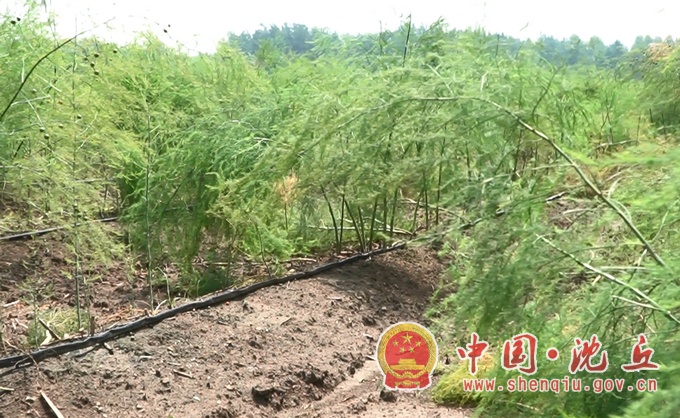 未命名1689299987.jpg