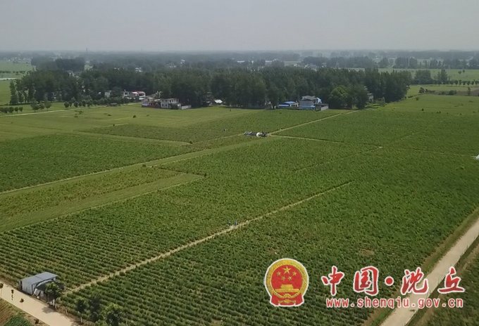 未命名1689299962.jpg
