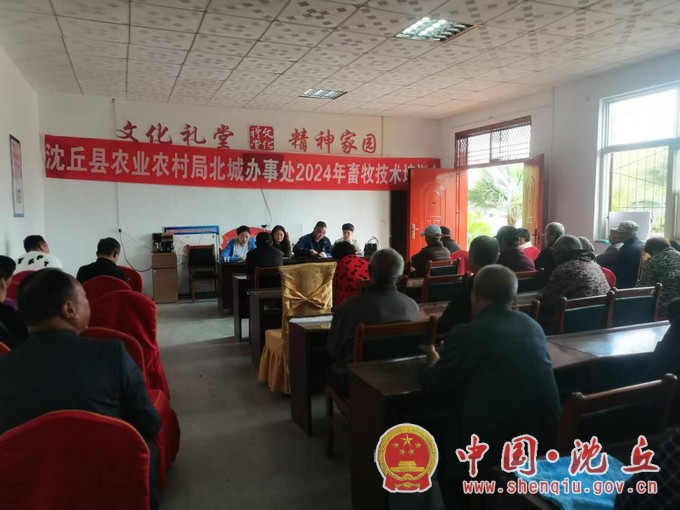 图片1.JPG