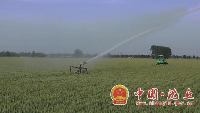 【2025-5-12】田间管护忙 “麦”向新希望 (3).png