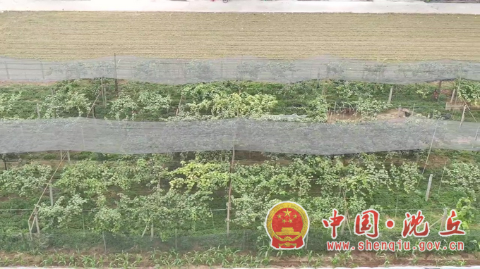 2025_06_13_09_26_14.mp4_20250623_170927.197.png