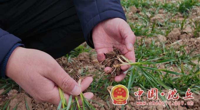 微信截图_20260119111112.jpg 微信截图_20260119111112.jpg